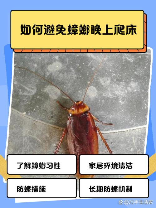 2025全年免费资料大全和未拆封餐具蟑螂乱爬与未拆封餐具蟑螂乱爬怎么办
