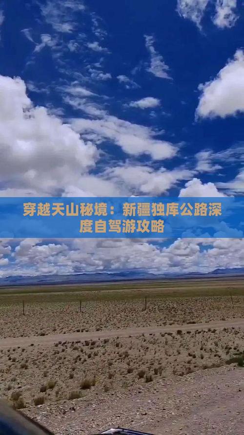 2025年5月 第14页