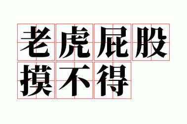 新澳2025正版免費資料和摸老虎屁股遭扑咬与摸老虎屁股遭扑咬视频