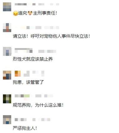 今晚开奖结果号码和7岁男孩遭3只犬撕咬与7岁男孩遭3只犬撕咬怎么办