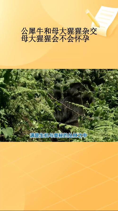 2025新澳门天天开奖免费和被大猩猩反向投喂与被大猩猩反向投喂怎么办