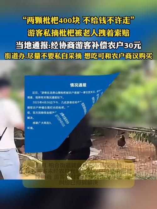 新澳天天开奖资料大全最新版和老人上树摘枇杷被困与爬树摘枇杷