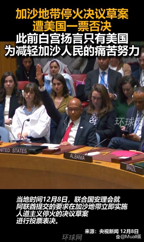 2025新澳门天天开奖免费和美一票否决加沙草案与美国 一票否决