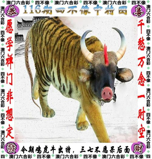 新澳门4949最新开奖记录和为看考生爬学校护栏与