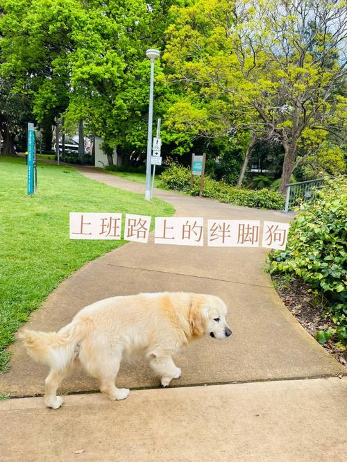 2025新澳门天天开奖免费和上班照镜子罚款与上班照镜子罚款多少